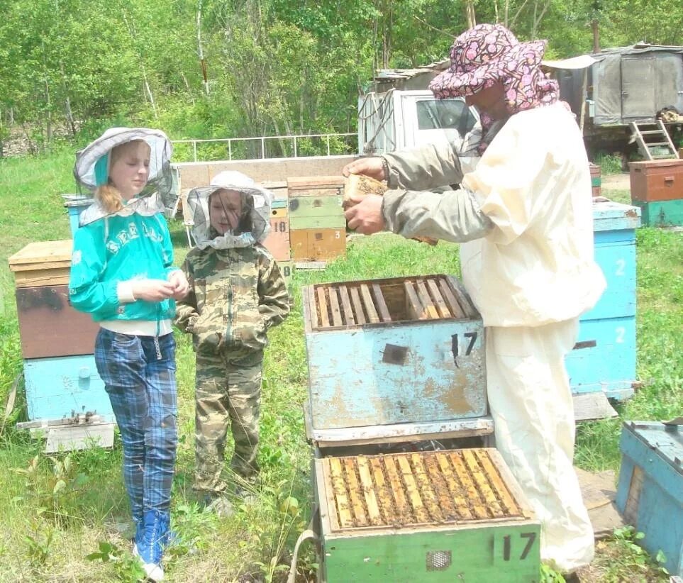 Пчеловод на пасеке. Пчеловод на пасеке. Девушка пчеловод. Постановка сот улья на весну. Пчеловод маленький.