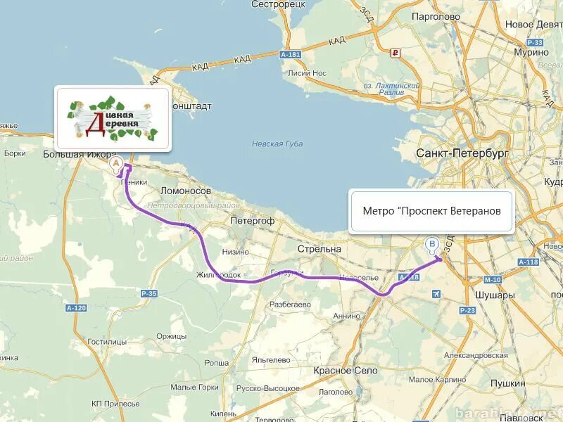 Сестрорецк новая деревня сегодня расписание