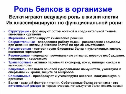 Роль белков в жизни человека
