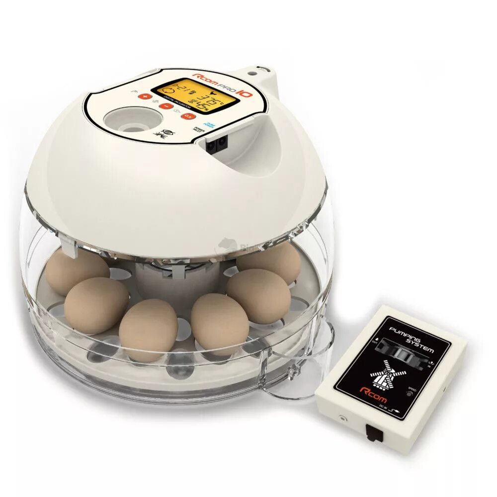 Incubator