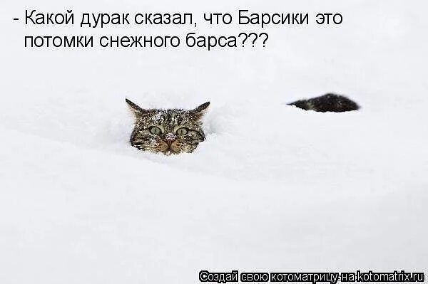 Всегда приходит неожиданно. Зима пришла внезапно. Зима пришла неожиданно. Зима наступила неожиданно.