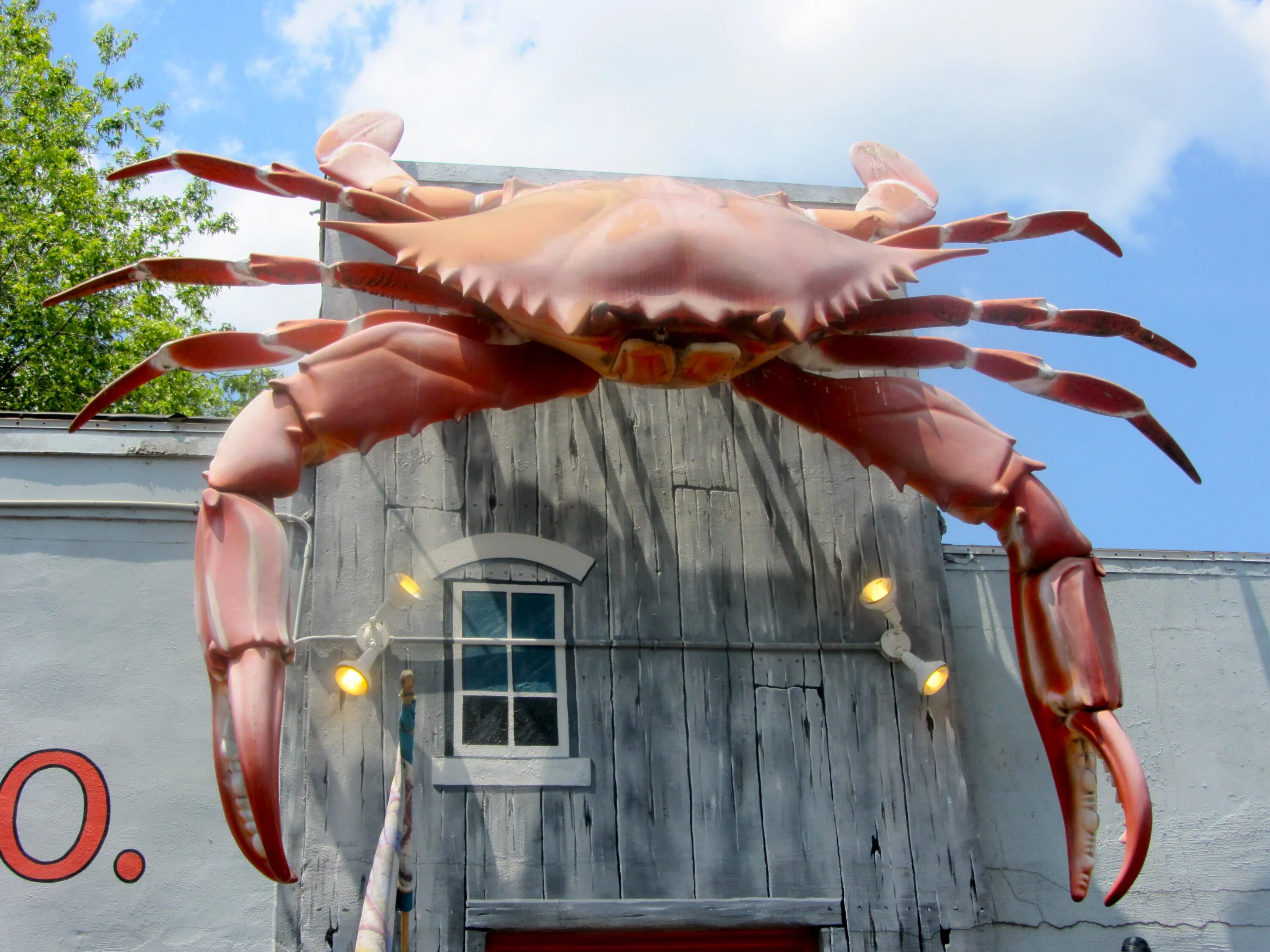 Краб тасманский гигант. Гигантский враждебный краб. Тасманский королевский краб. Гигантский краб монстр. Гигантский враждебный краб.