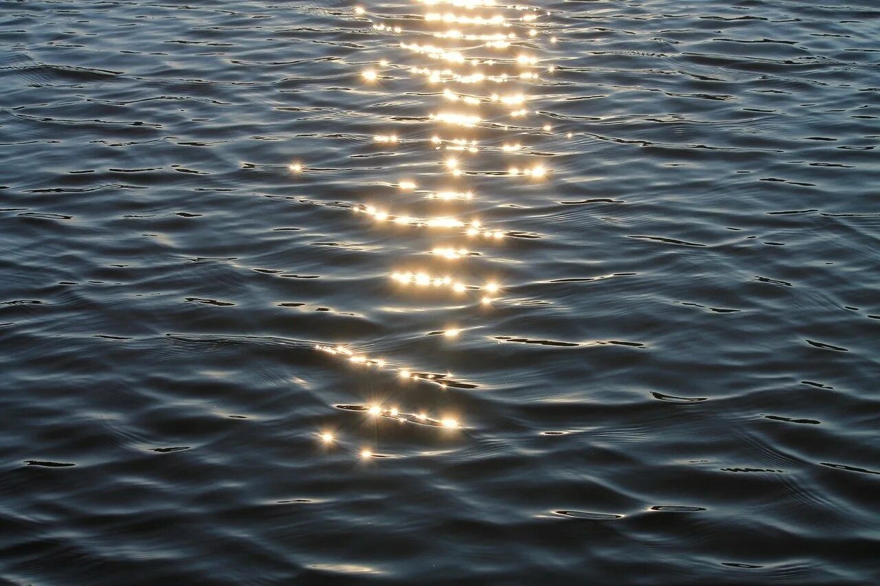 Отражаются на поверхности воды. Блики на воде. Солнечные блики на воде. Гладь воды. Солнце и вода.