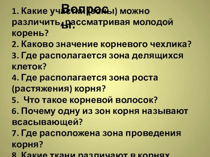 Каково значение корневого. Какие зоны можно различить рассматривая молодой корень. Какие участки зоны можно различить рассматривая молодой. Какие участки можно различить рассматривая молодой корень. Какие участки можно различить рассматривая молодой корень кратко.