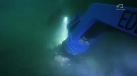Лихорадка берингово море