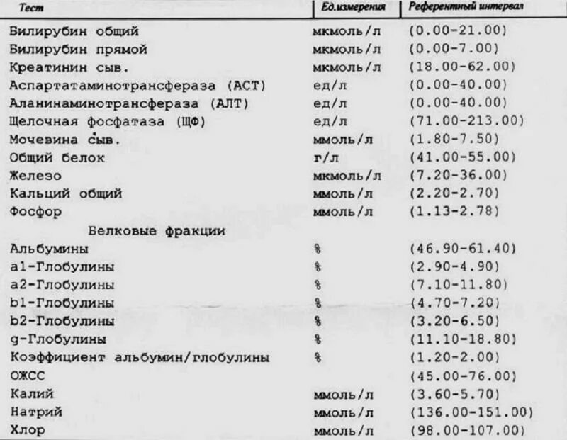 Посев мочи результат расшифровка. Расшифровка анализа мочи на бак посев. Анализ мочи на посев норма. Нормальные показатели бактериологического исследования мочи. Норма бак посева мочи у женщин.