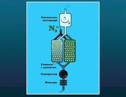 Какая страна держит первенство по выработке кислорода