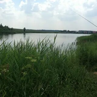 Савельево