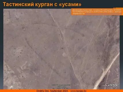 Курганы с усами