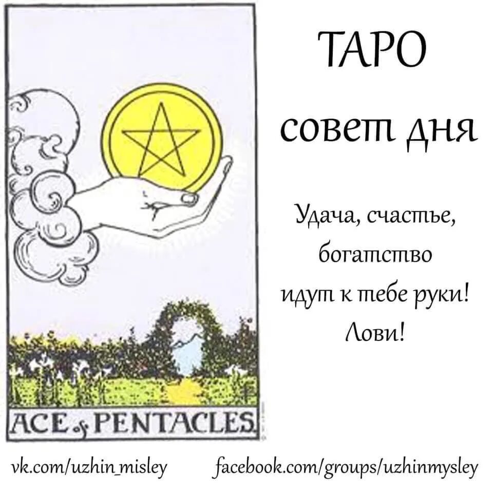 Сочетание карты туз пентаклей в таро. Сочетание карты туз пентаклей в таро. Значение карты туз пентаклей. Туз пентаклей райдер уэйт. Туз пентаклей уэйта.