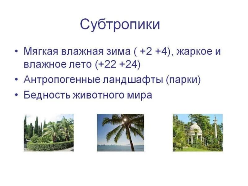 Субтропики природная зона. Природная зона влажные субтропики. Зона субтропиков России климат. Субтропики презентация.