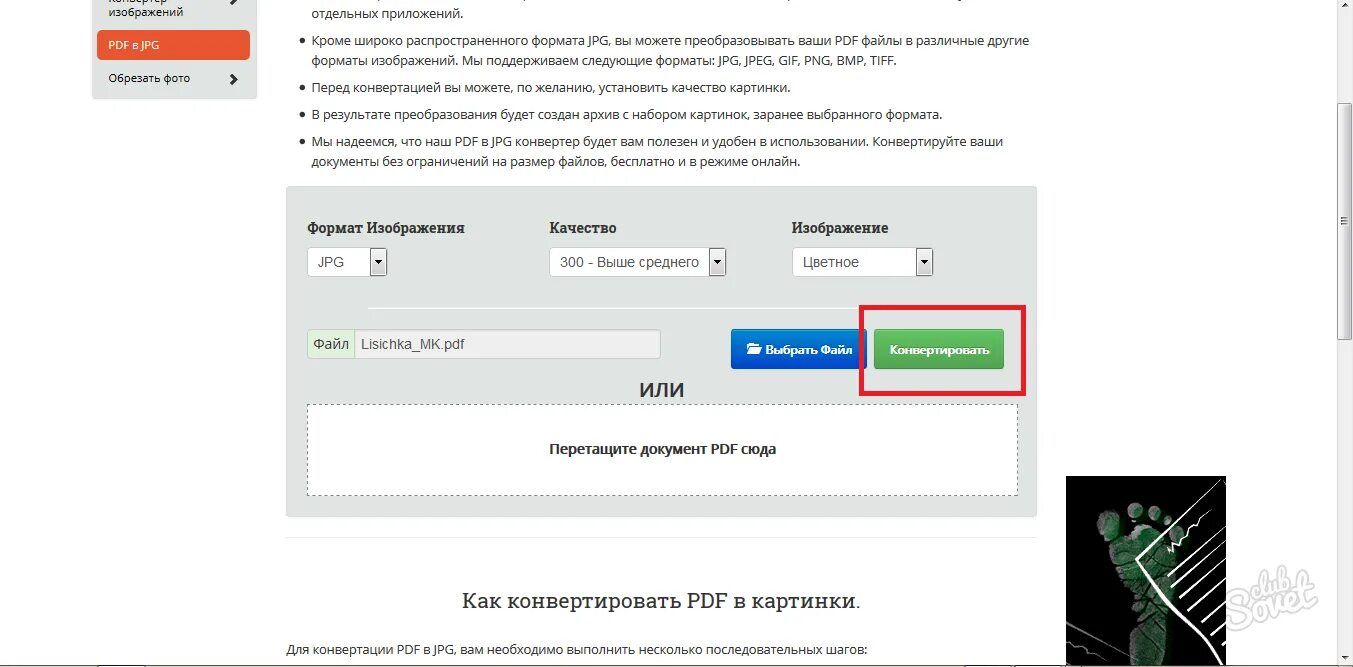 Pdf картинки перевод на русский. Перевод pdf в изображение. Перевести файлы пдф в jpg. Конвертировать файл в джипег.