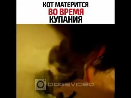 Ругался матом в эфире