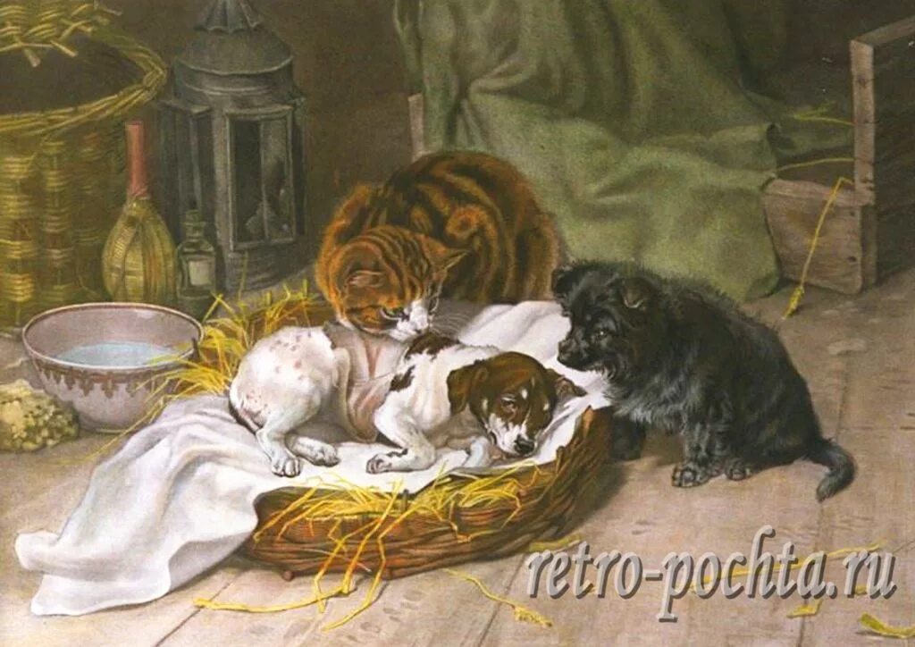 живопись животные. сопереживание в произведениях. сопереживание в произведениях. нищие в живописи. пауль герман вагнер (1852-1937).