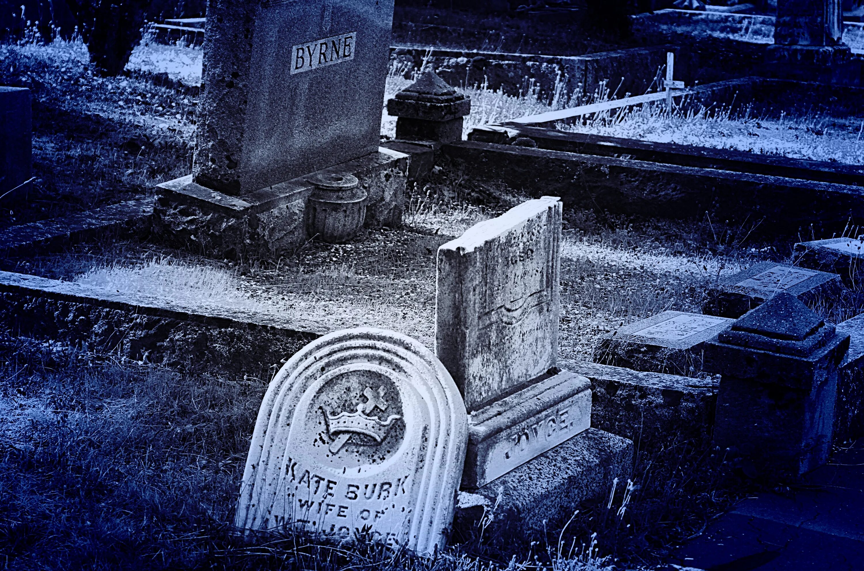 Могильный камень старое кладбище. Надгробная плита заброшенное кладбище. Могильная плита. Надгробный камень. Могильные муки