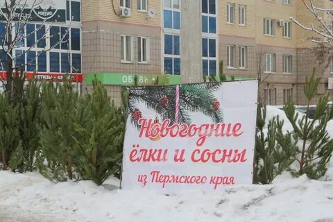 Сосновая ленинский