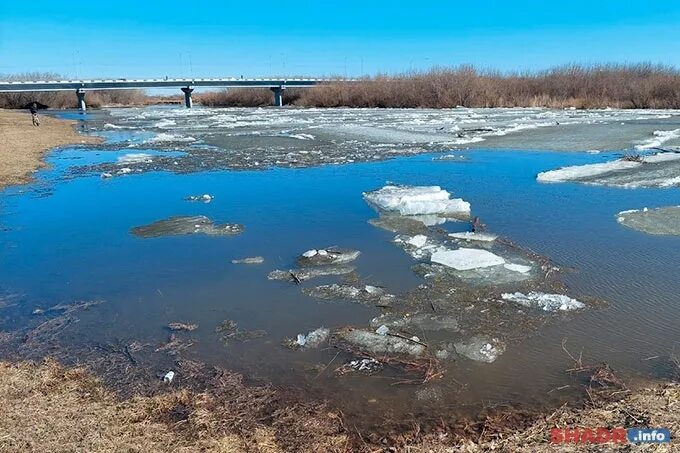 Уровень воды в реке исеть. Река Исеть загрязненная. Река Нура. Шадринское водохранилище. Загрязненные воды Омской области.