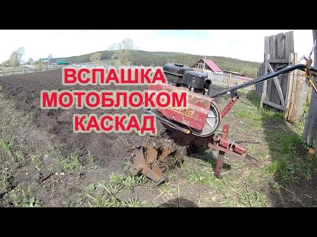 Вспахать мотоблоком Каскад. Пашка мотоблоком Каскад. Вспашка земли мотоблоком Каскад плугом. Вспашка мотоблоком Каскад. Вспашка фрезами мотоблоком