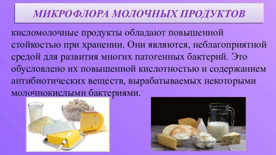 Микрофлора кисломолочных пищевых продуктов. Микрофлора молока и кисломолочных продуктов. Микрофлора кисломолочных продуктов микробиология. Микробиология молока и кисломолочных продуктов.. Дрожжи используются человеком для производства кисломолочных