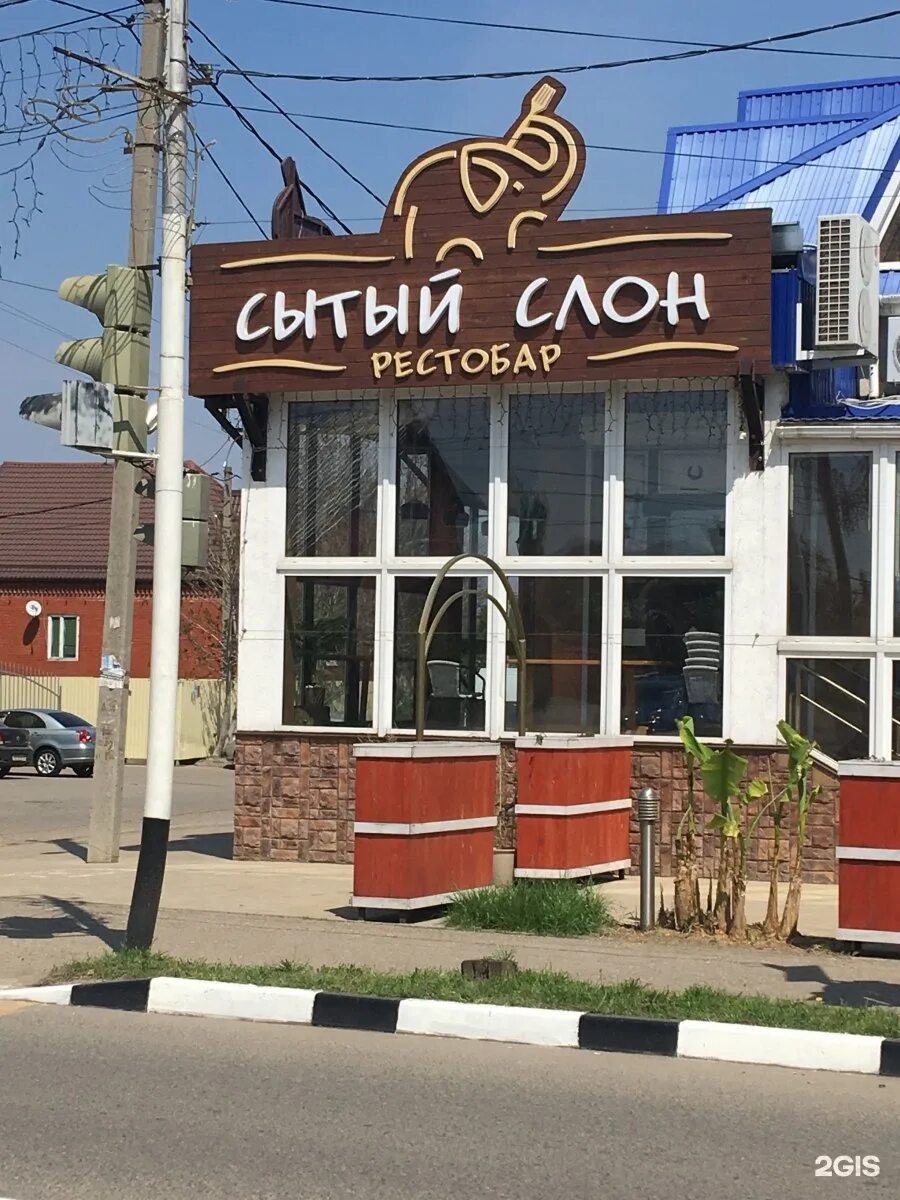 Сытый слон. Сытый слон динской. Ресторан сытый слон. Палочки рыбные vici. Столовая сытый слон екатеринбург.