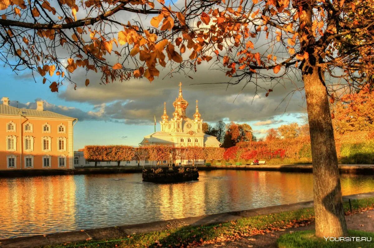 Петербург в сентябре. Санкт-петербург осень петергоф. питер золотая осень петергоф. санкт петербург осень петродворец дворец. питер осенью петергоф.
