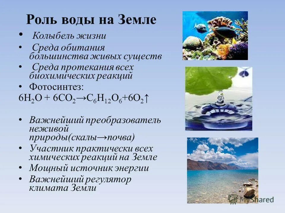 Основные источники жизни на земле. Роль воды на земле. Важность воды на земле. Экологическая роль воды. Важность воды в природе.