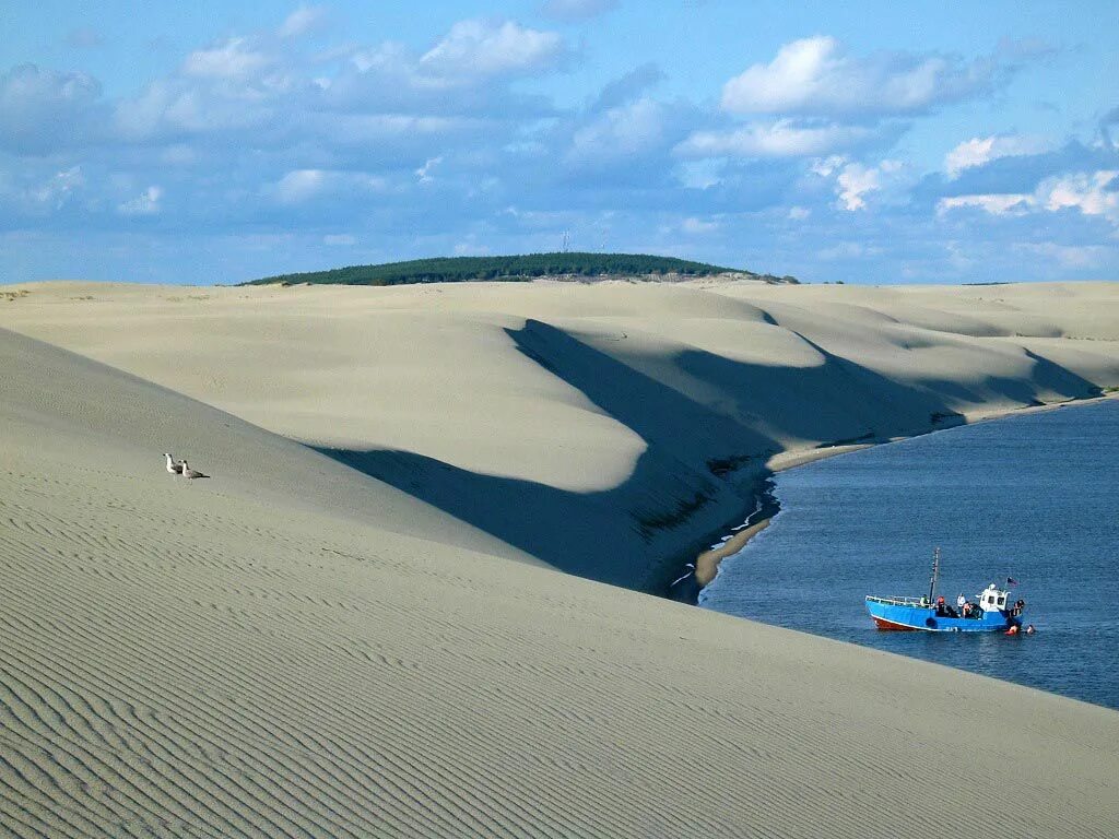 Дюнна. Дюны Калининград Куршская коса. Калининград дюны на Куршской косе. Песчаные дюны Куршская коса. Песчаные дюны Калининград.