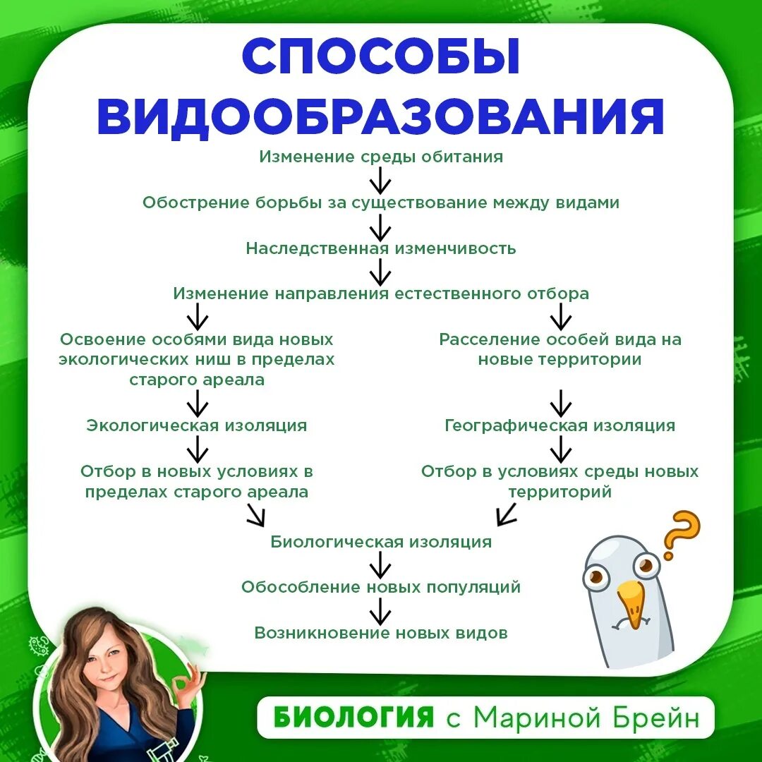 Биотехнология растений. Био. Примеры географического и экологического видообразования. Химическая лаборатория будущего. Научная лаборатория.