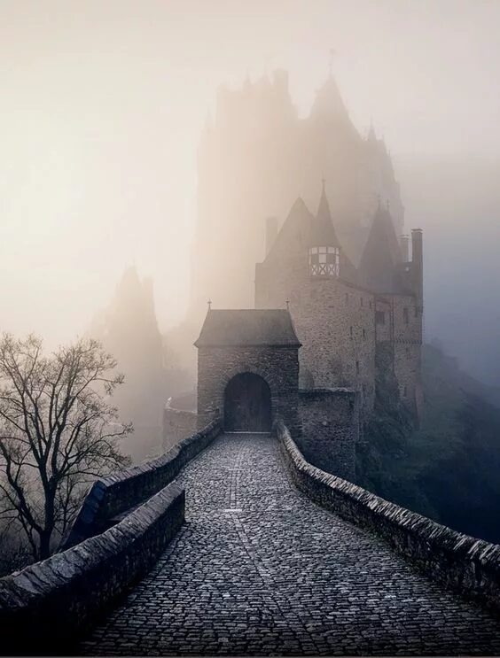 Замок Эльц Эстетика. Замок Эльц в тумане. Замок Дракулы Эстетика. Eltz Castle заброшенный. Загадочный замок