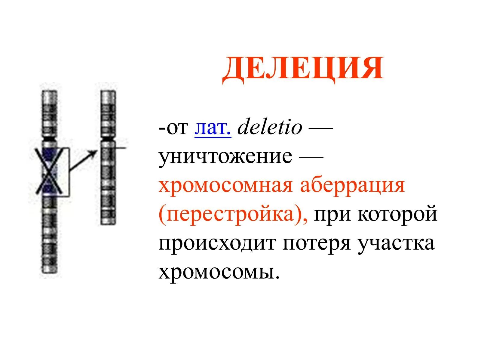 Делеция хромосомы рисунок. Хромосомные мутации делеция. Делеции хромосом. Делеция хромосомы мутация. Хромосомные удвоение участка хромосомы