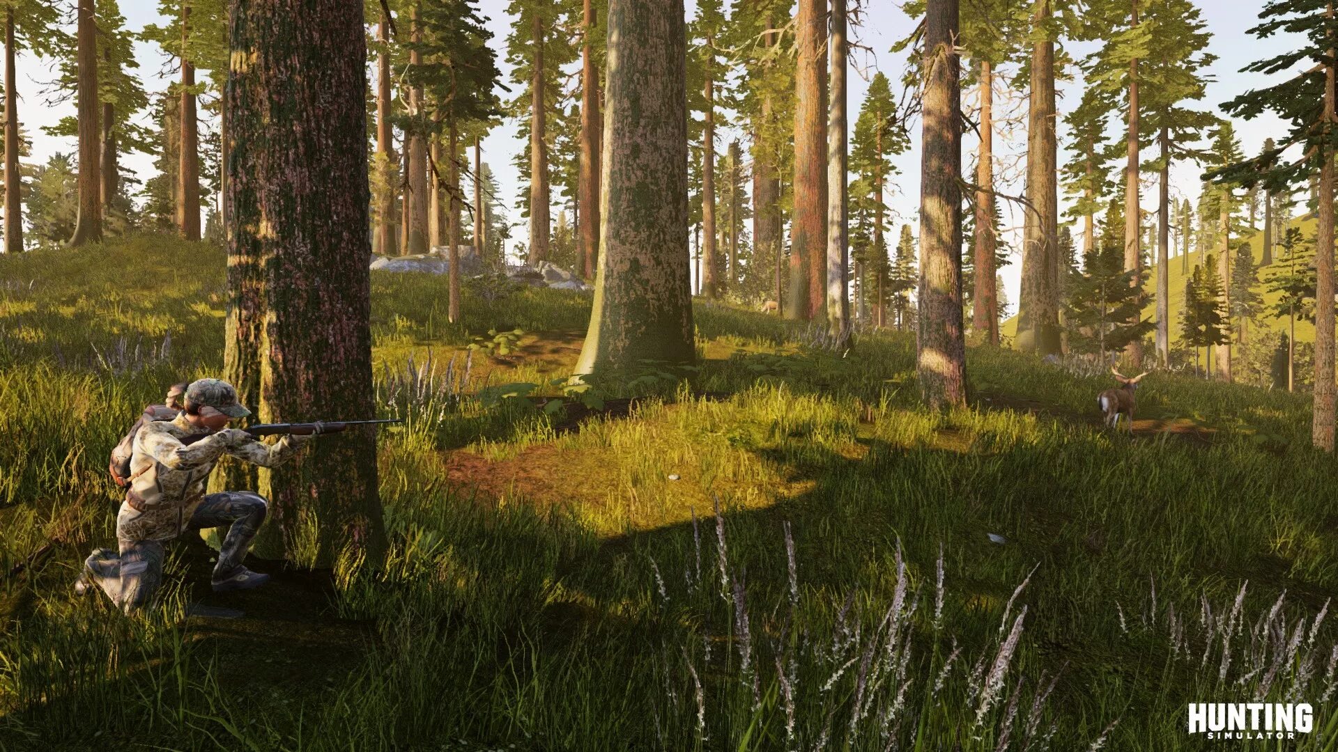 Hunt game. Hunting simulator ps4. хантинг симулятор 2017. хантинг симулятор 1. hunter simulator 2.