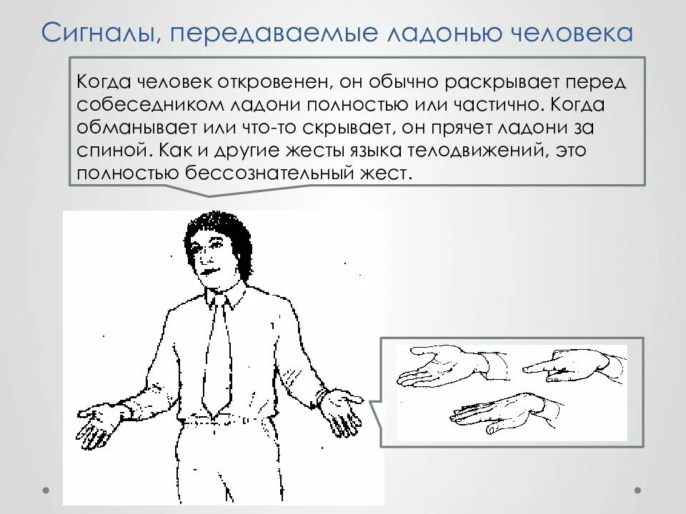 Почему язык телодвижений неоднозначен. Сигналы, передаваемые ладонью человека. язык телодвижений сигналы, передаваемые ладонью человека. ладони и передаваемая с их помощью информация. руки за спиной психология жестов.