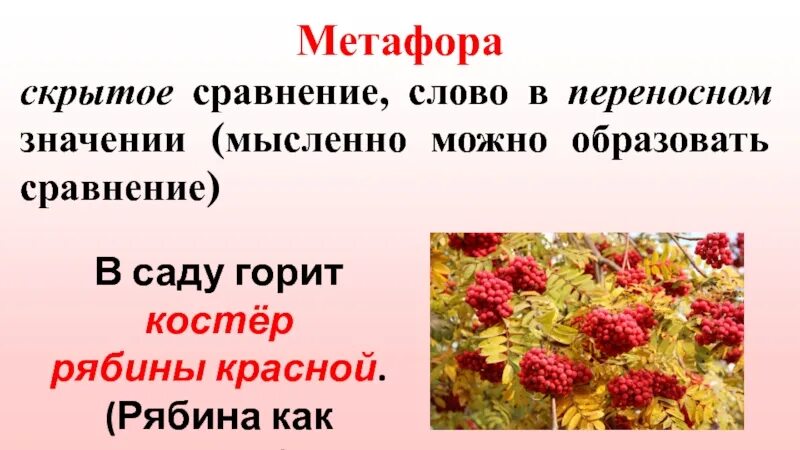 Прилагательные к слову рябина. Метафора к слову огонь. Эпитет к слову рябина. Эпитеты к слову рябина. Предложение к слову рябина.