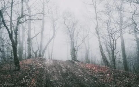 Край холод