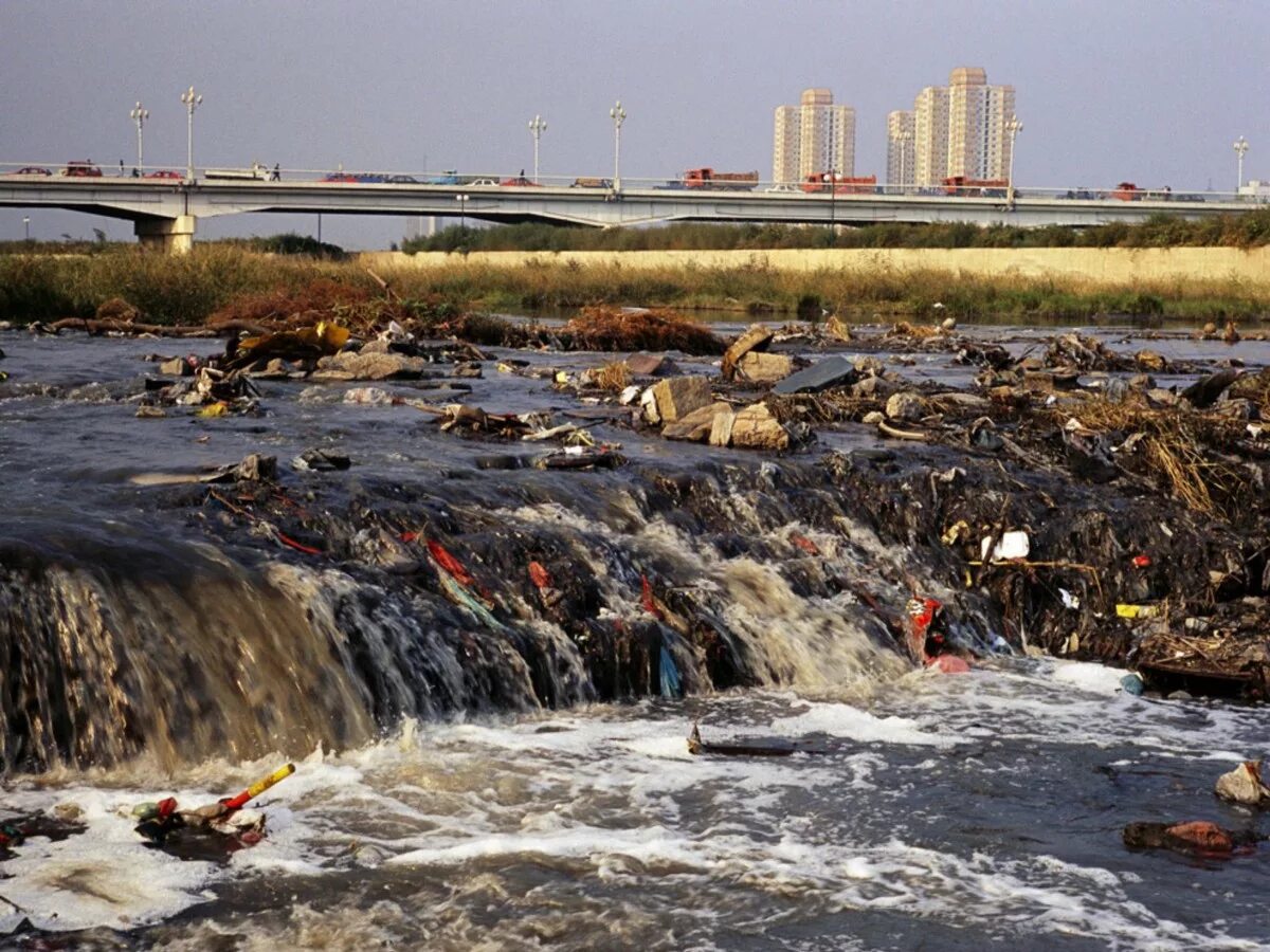 Защита окружающей среды загрязнение воды. Река Сарно загрязнение. Сарно Италия река. Загрязнение реки Обь. Сарно река грязная.