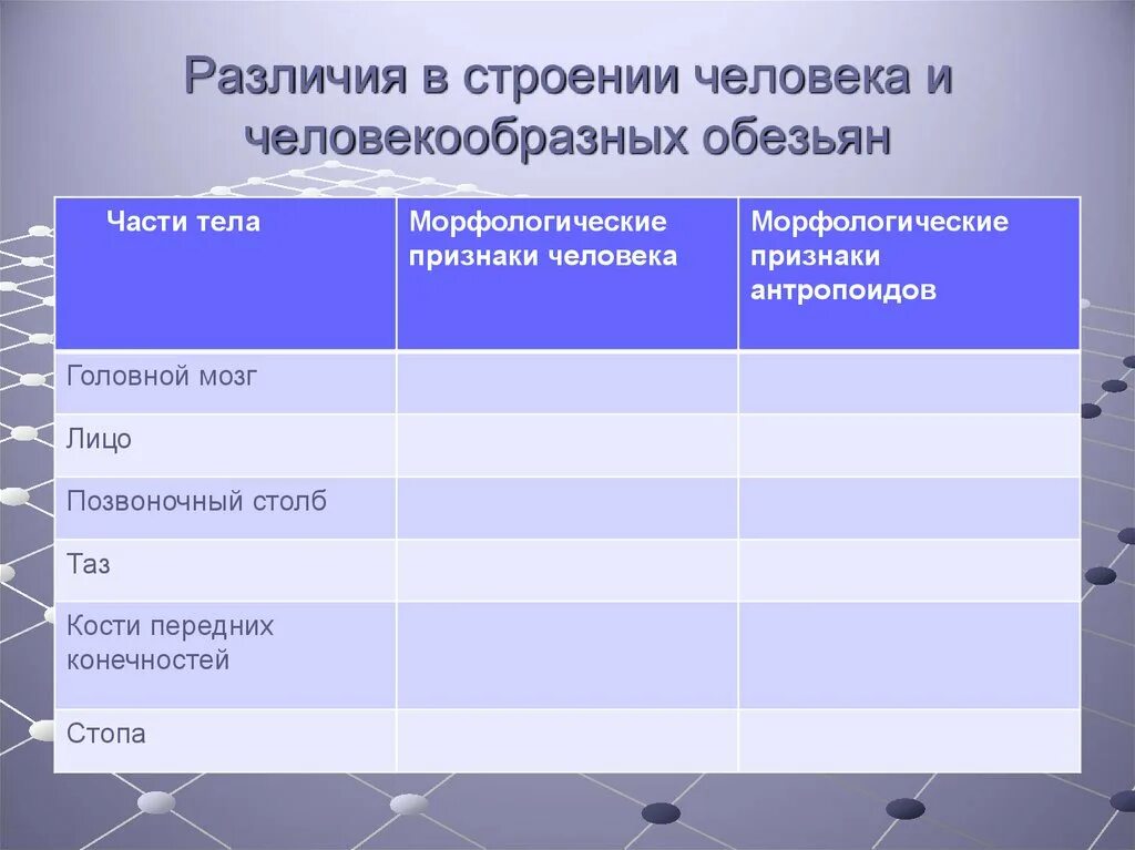 Различия в строение человека и человек образ ну обезьян. Различия в строении человека и человекообразных обезьян. Сходство человека и человекообразных обезьян таблица. Отличие человека от человекообразных обезьян таблица.