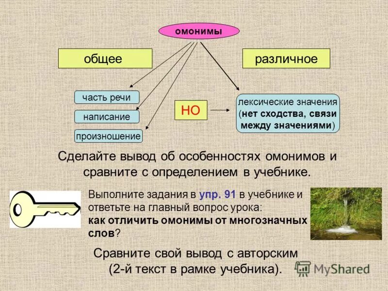 Чем отличаются многозначные слова от омонимов