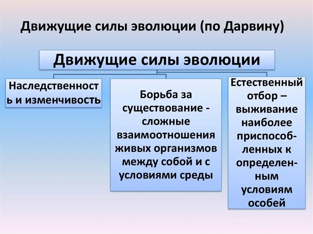 Главным фактором эволюции является. Движущие силы эволюции Дарвина. 3 Основные движущие силы эволюции по Дарвину. Движущие силы эволюционной теории Дарвина. Факторы движущие силы эволюции.