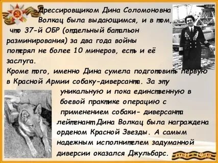 Что такое динах