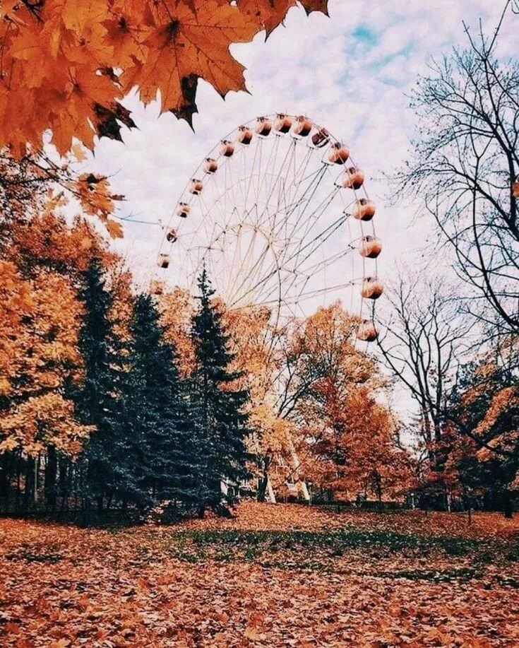 Создания сентябрь