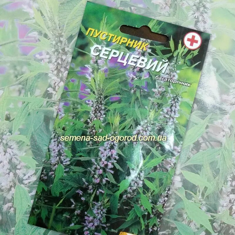 чайные семена. семена расторопша пятнистая. сабельник болотный семена. семена лекарственных растений. семена лекарственных растений.