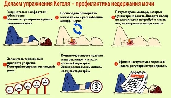 Тренировка мочевого пузыря