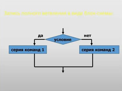 Виды ветвления блок схемы