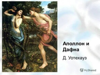 Нимфы описание