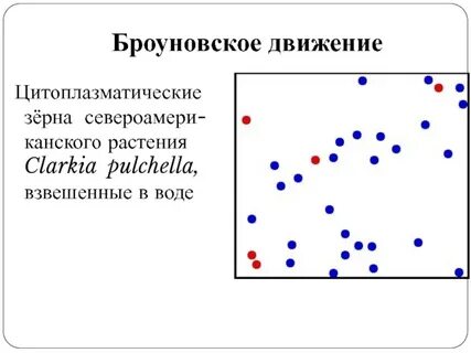 Броуновское движение это в физике 7 класс