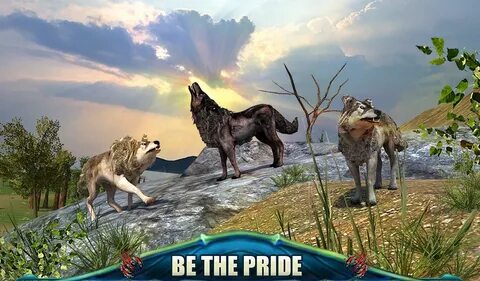 Wolf adventures