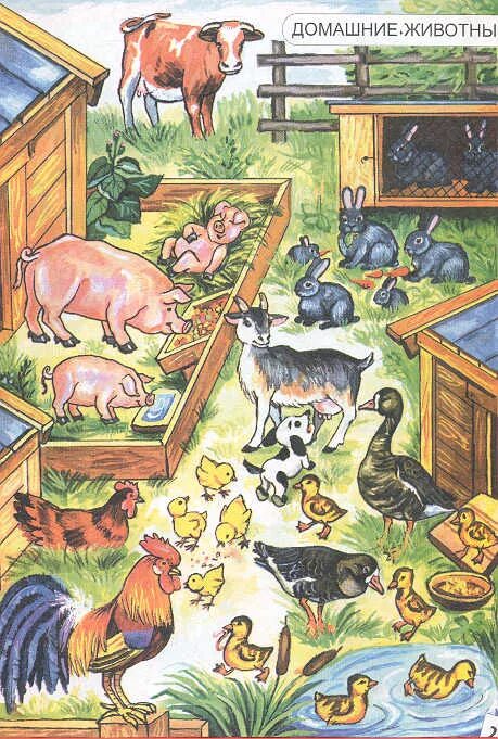 "петушок с семьёй". Домашние птицы и детеныши задания. Домашних птиц для дошкольников. Конспект занятия домашние животные и птицы. Домашние птицы для детей.