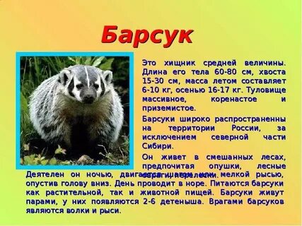 Доклад о животном 3 класс окружающий мир