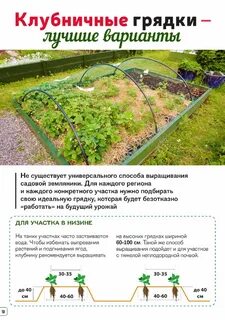 Найдите ширину грядки