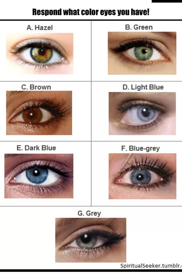 У меня голубые глаза на английском. Хейзел цвет глаз. Brown Hazel цвет глаз. Хейзел Грин цвет глаз. Хейзел , Цуриме цвет глаз.